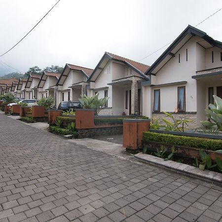 Zen Rooms Cemara Bedugul Bedugul  Exterior foto